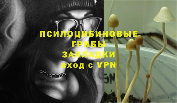 трава Аркадак