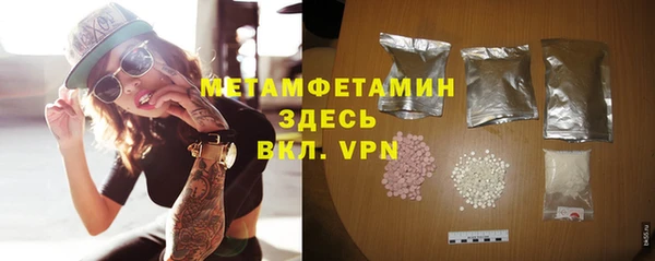 трава Аркадак