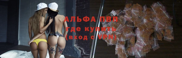 сатива Армянск
