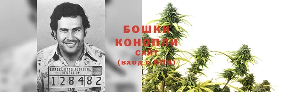 сатива Армянск