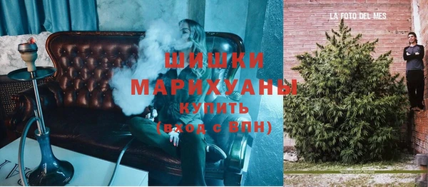 сатива Армянск